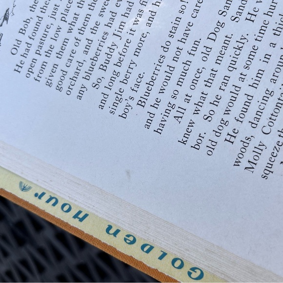 Buddy Jim Vintage 1920 Hardcover Book By Elizabeth Gordon - Picture 16 of 16